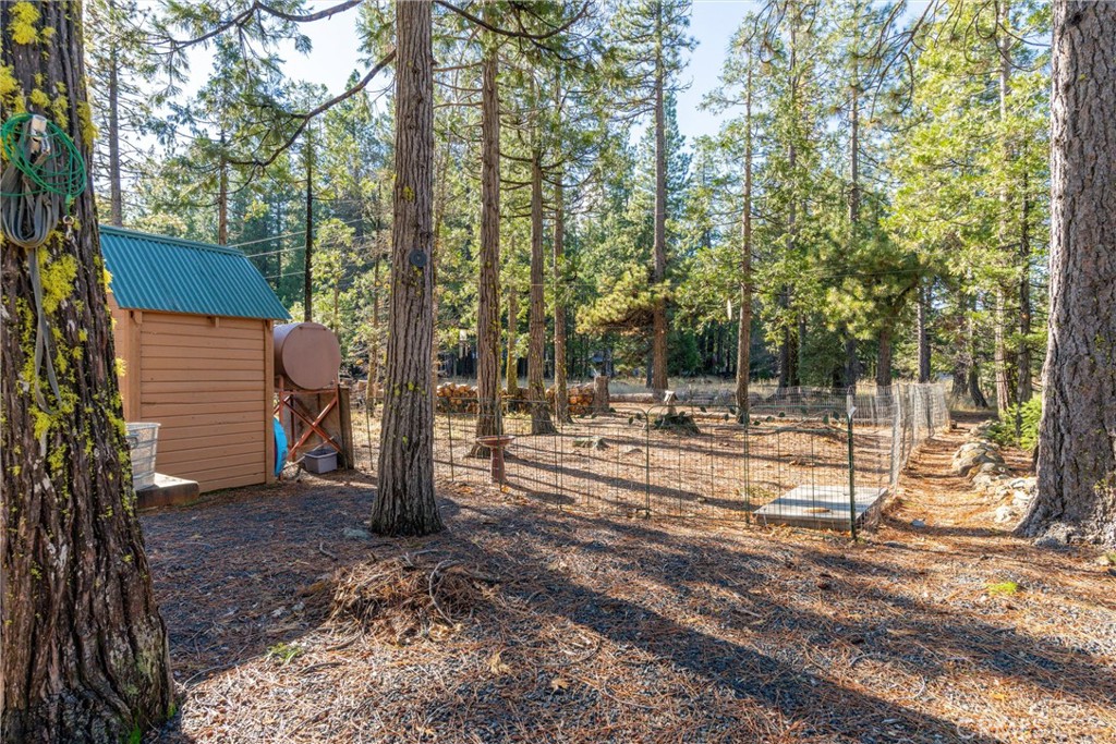 7554 Humboldt Road Butte Meadows, CA 95942 - Photo 31 of 41 a view of yard