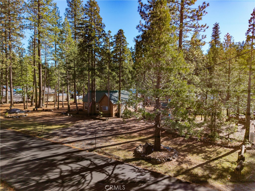 7554 Humboldt Road Butte Meadows, CA 95942 - Photo 34 of 41 a view of street along with trees