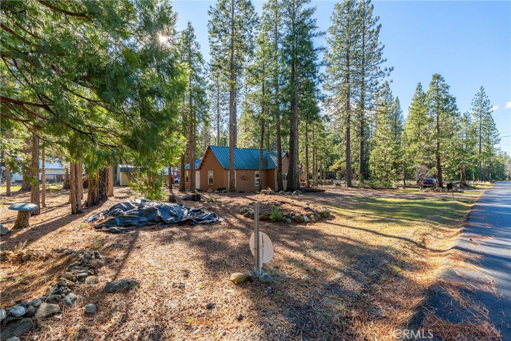 7554 Humboldt Road Butte Meadows, CA 95942 - Photo 35 of 41 a view of a water with large trees