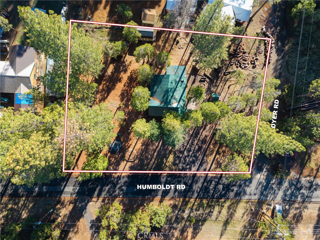 7554 Humboldt Road Butte Meadows, CA 95942 - Photo 37 of 41 a view of a tree with a yard