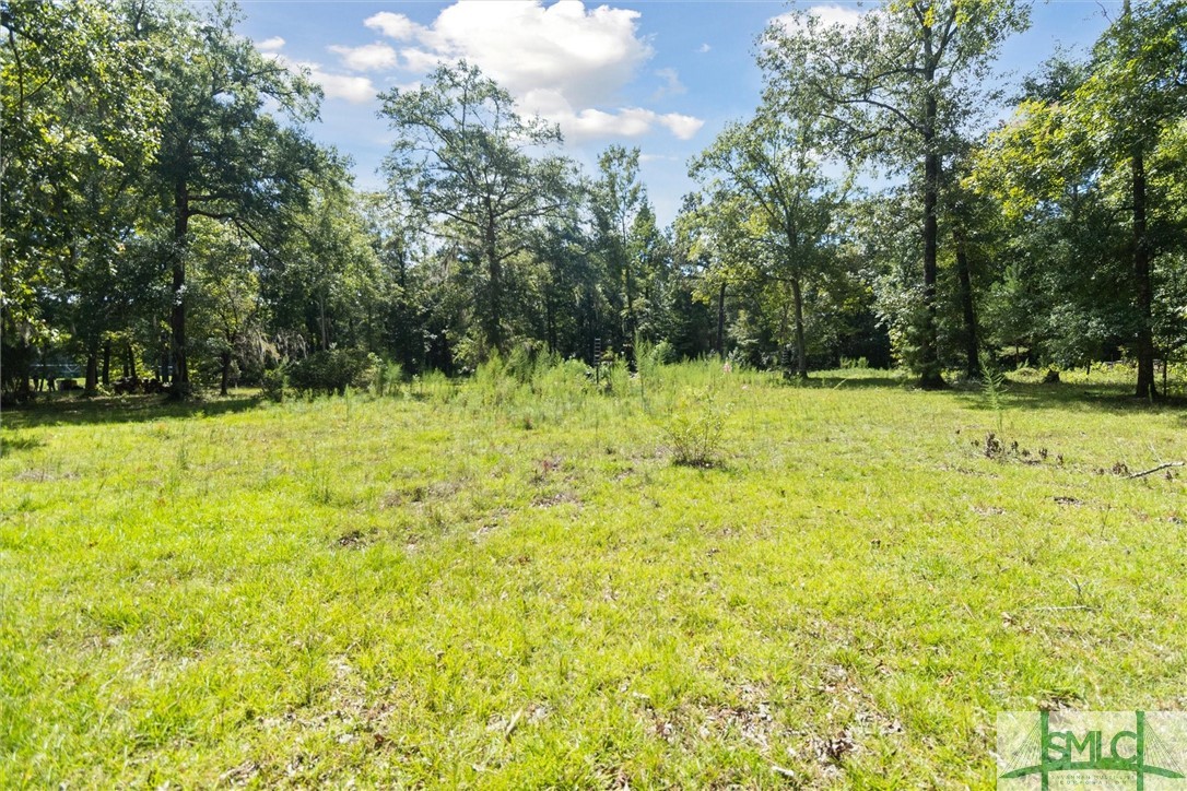 310 Lee Road Springfield, GA 31329 - Photo 12 of 31