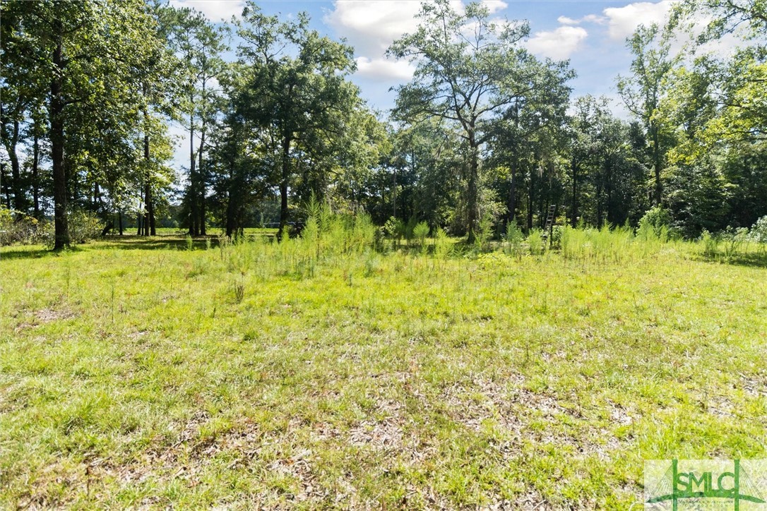 310 Lee Road Springfield, GA 31329 - Photo 14 of 31