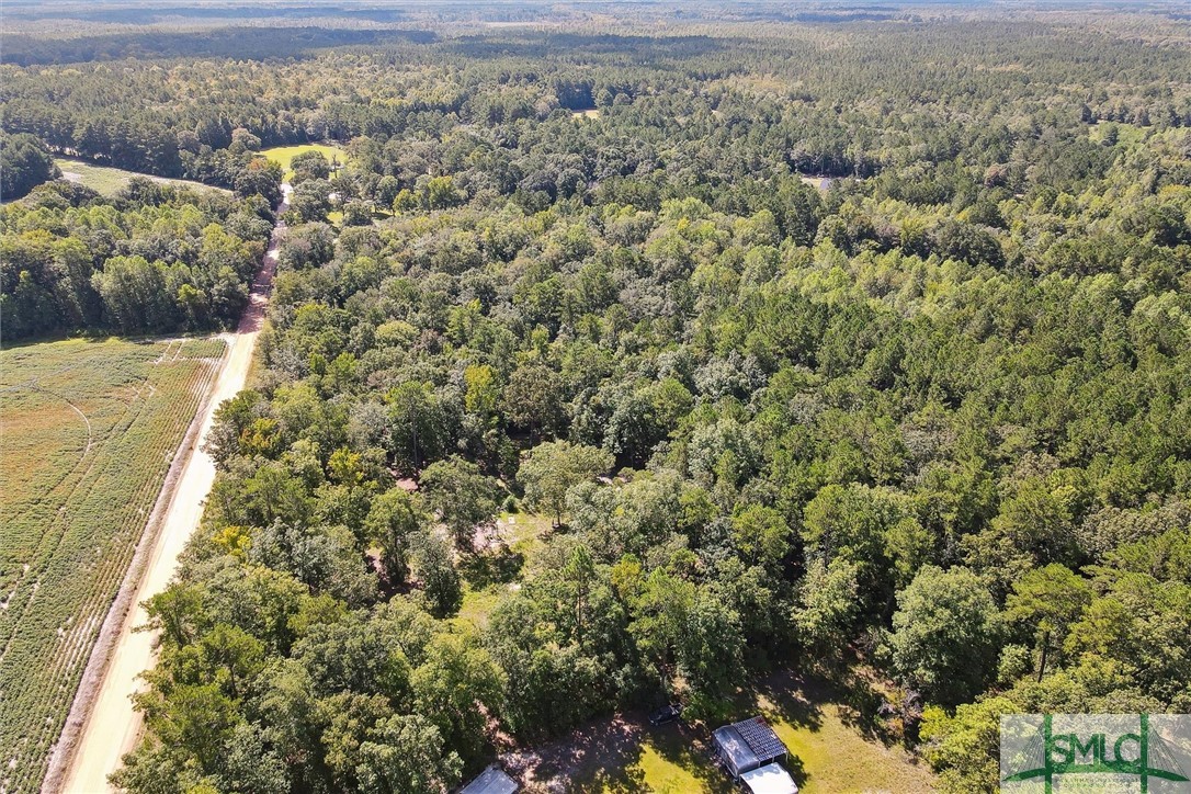 310 Lee Road Springfield, GA 31329 - Photo 17 of 31