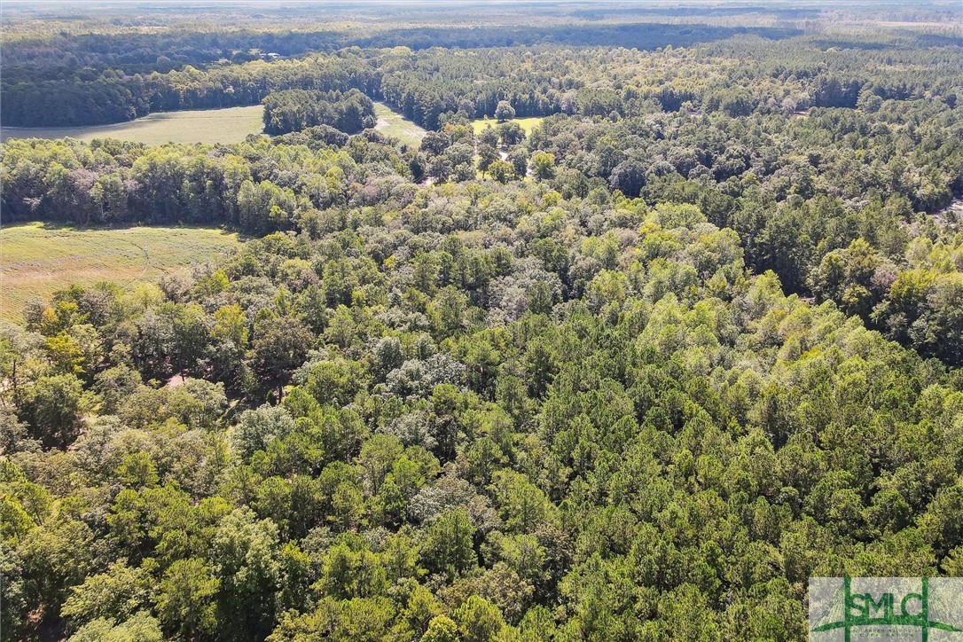 310 Lee Road Springfield, GA 31329 - Photo 18 of 31