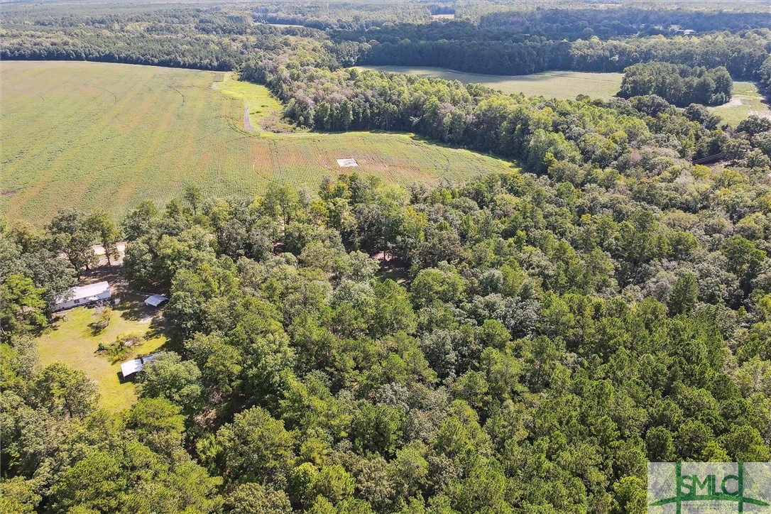 310 Lee Road Springfield, GA 31329 - Photo 19 of 31