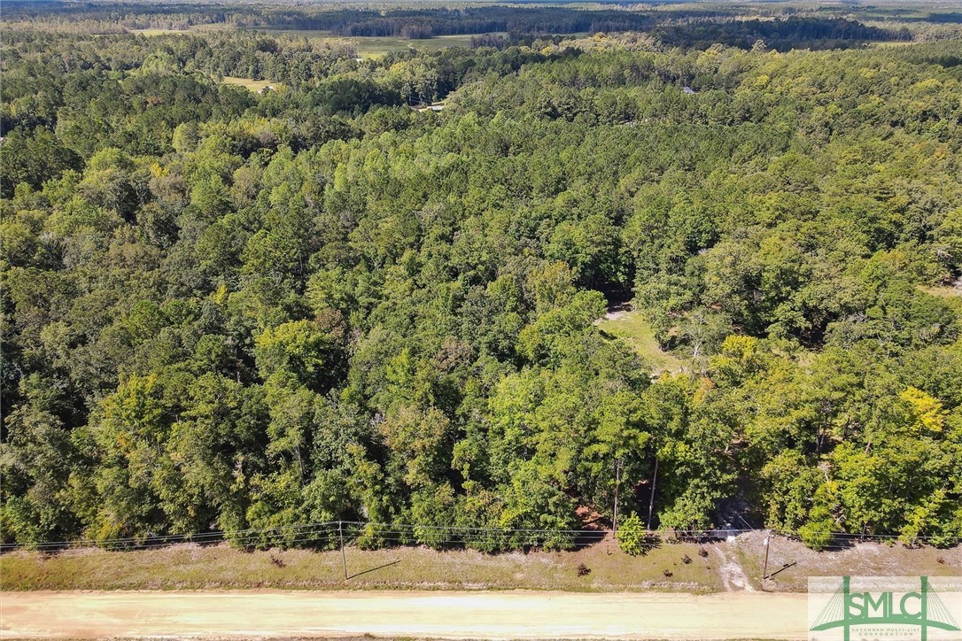 310 Lee Road Springfield, GA 31329 - Photo 22 of 31 Aerial view from driveway into the cleared area.