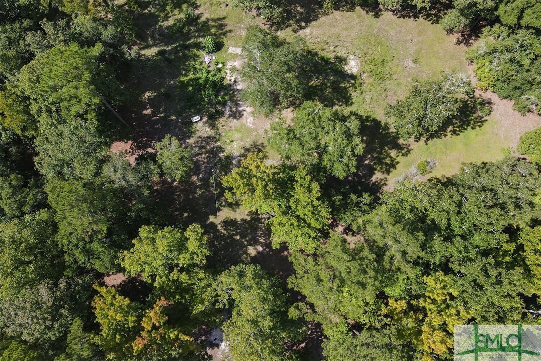 310 Lee Road Springfield, GA 31329 - Photo 29 of 31