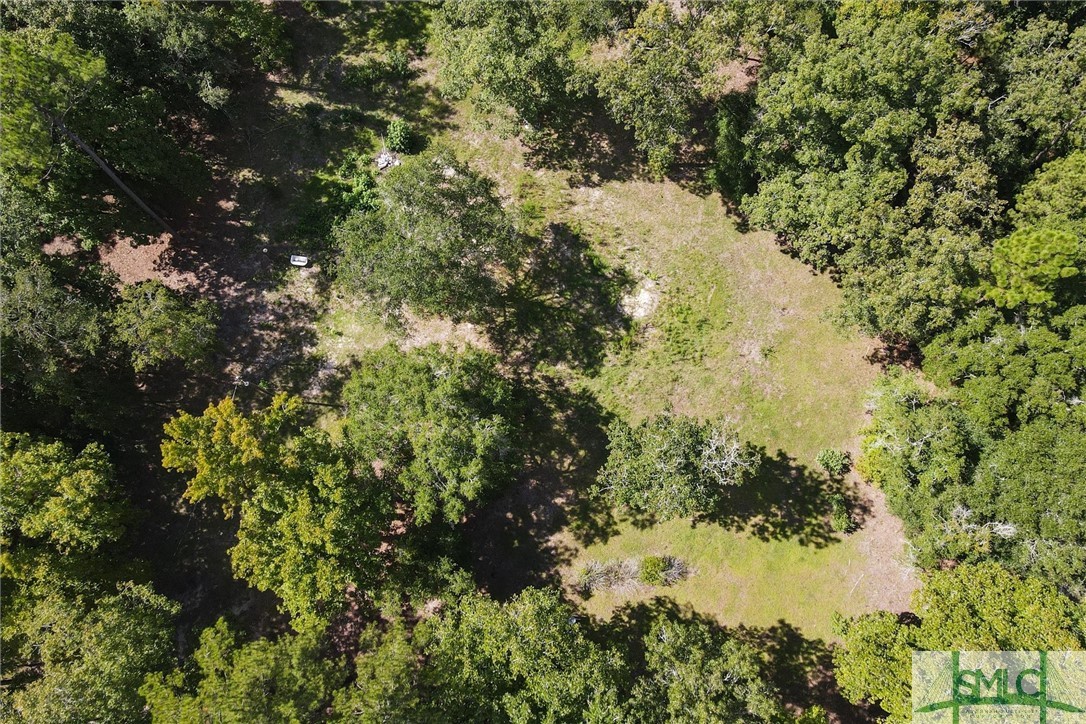 310 Lee Road Springfield, GA 31329 - Photo 30 of 31