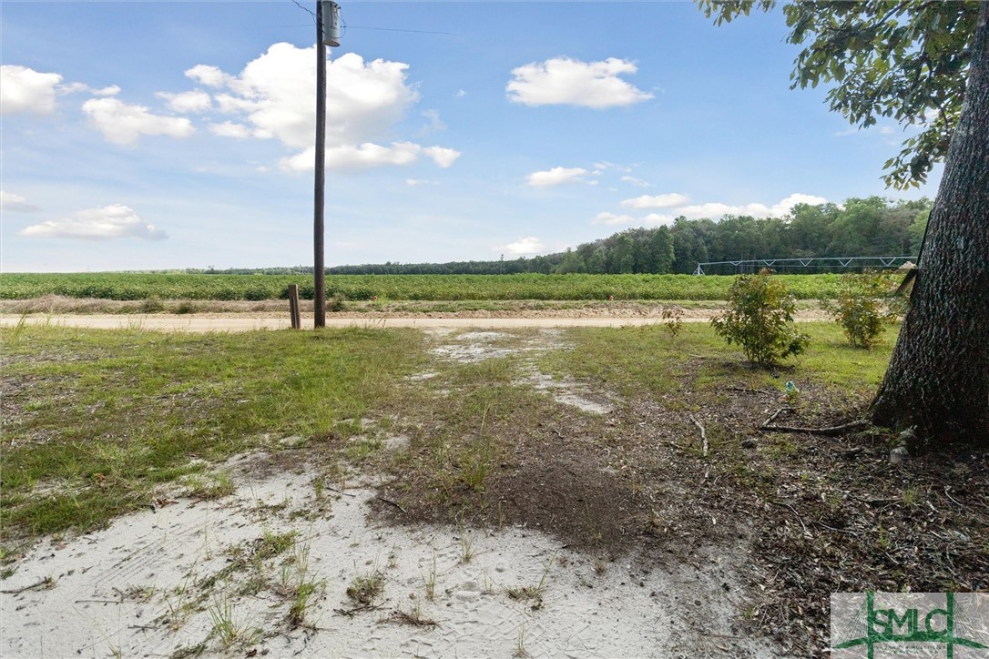 310 Lee Road Springfield, GA 31329 - Photo 3 of 31 Driveway onto the land. Cotton fields directly acr