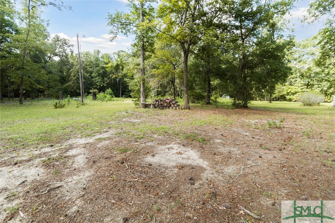 310 Lee Road Springfield, GA 31329 - Photo 5 of 31 Lot is open with less trees towards the center of