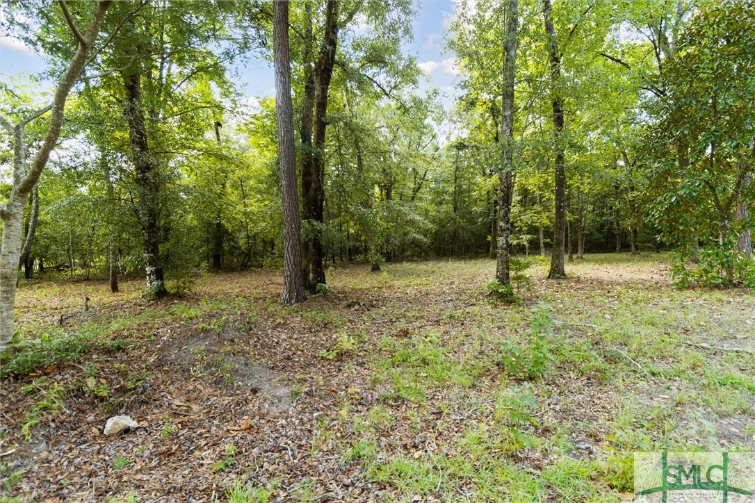 310 Lee Road Springfield, GA 31329 - Photo 7 of 31