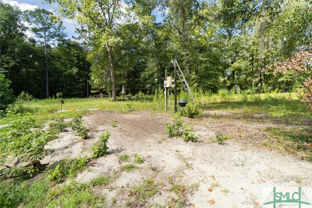 310 Lee Road Springfield, GA 31329 - Photo 8 of 31