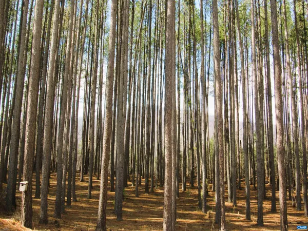 $267,900 | 3324 Laurel Road, Shipman, VA 22971