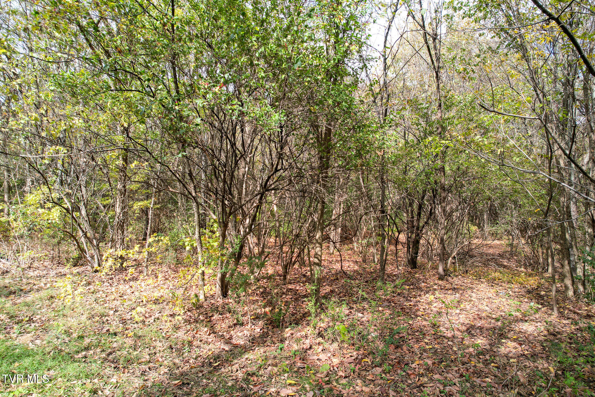 0 North Morelock Road Morristown, TN 37814 - Photo 23 of 32 DJI_0159