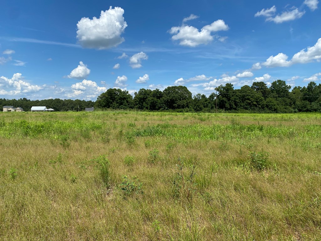 16-ac 16-ac National Road Dothan, AL 36301 - Photo 13 of 45