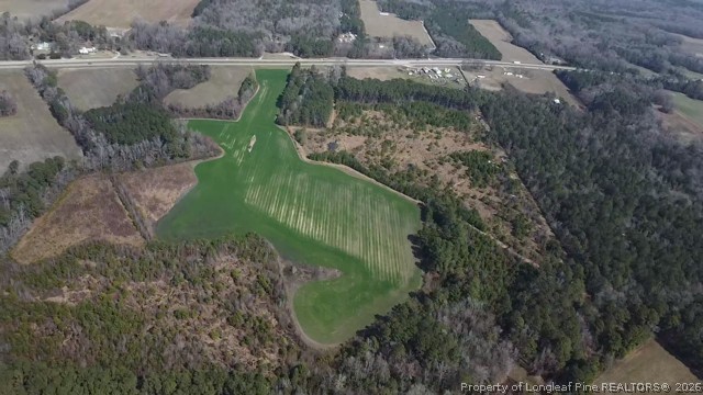 13441 Highway 87 Tar Heel, NC 28392 - Photo 8 of 12 a view of a lake view