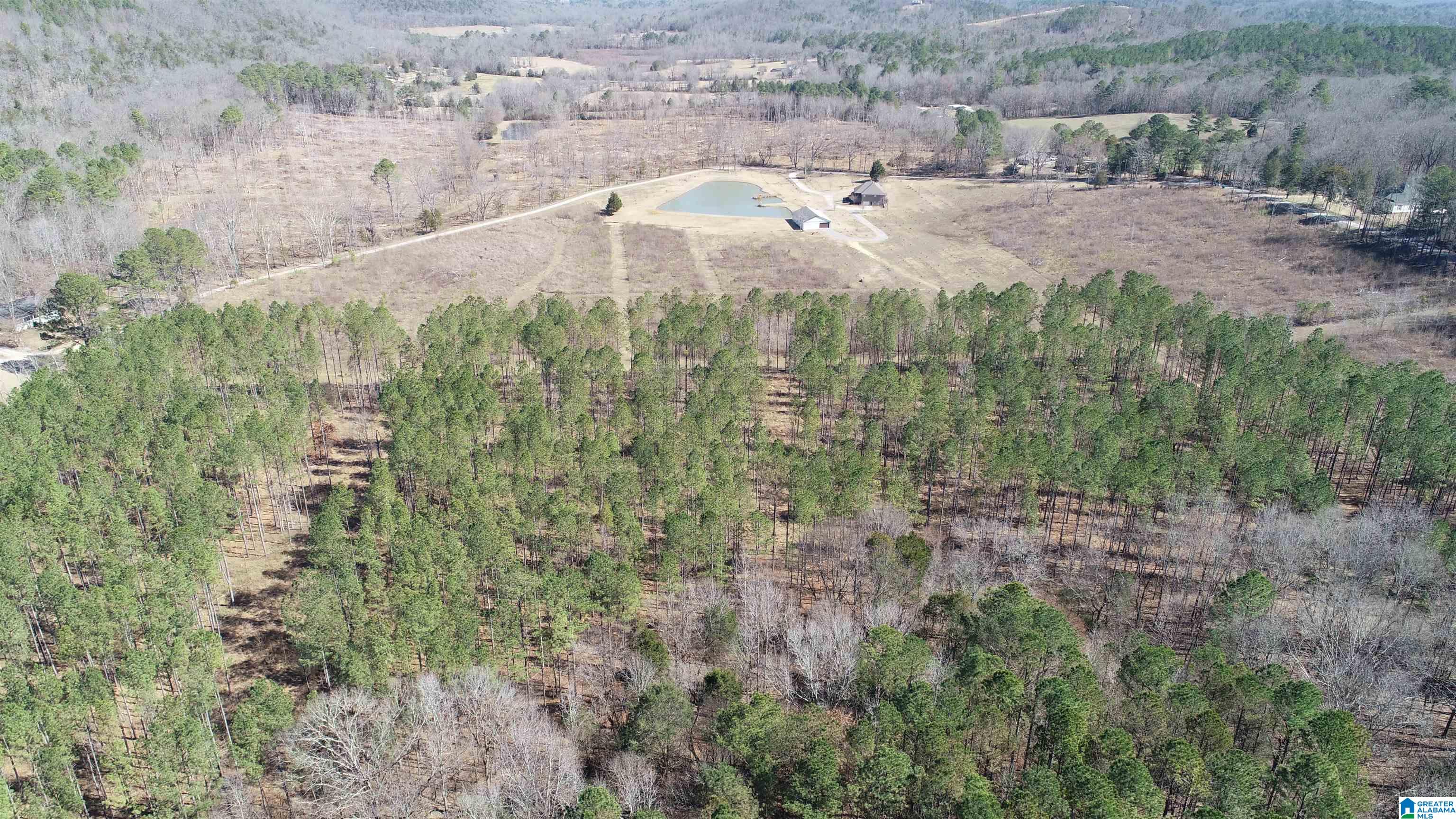 109 Shadow Stone Lane Oneonta, AL 35121 - Photo 7 of 31