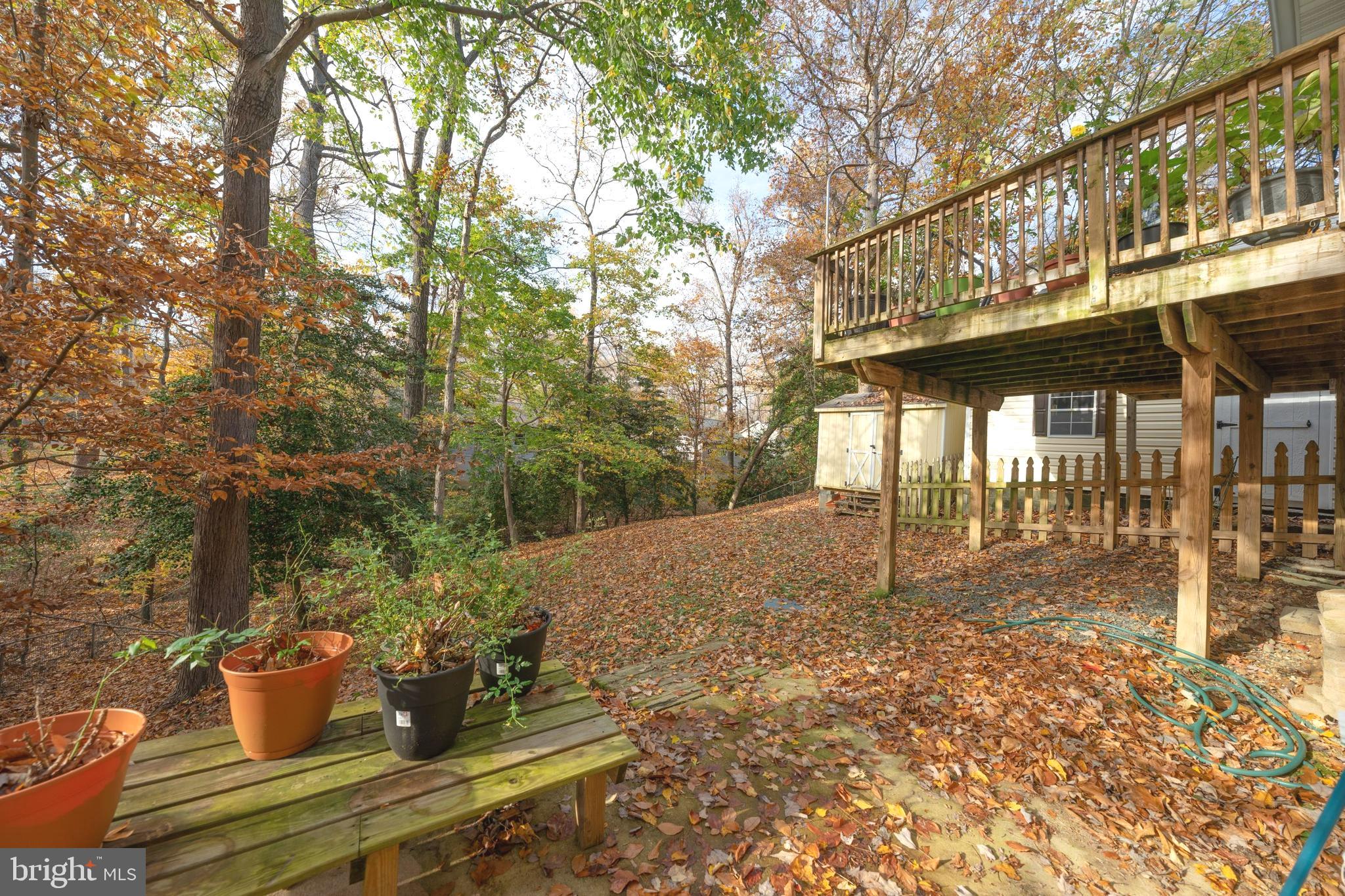 12437 Hisperia Road Lusby, MD 20657 - Photo 27 of 29 backyard