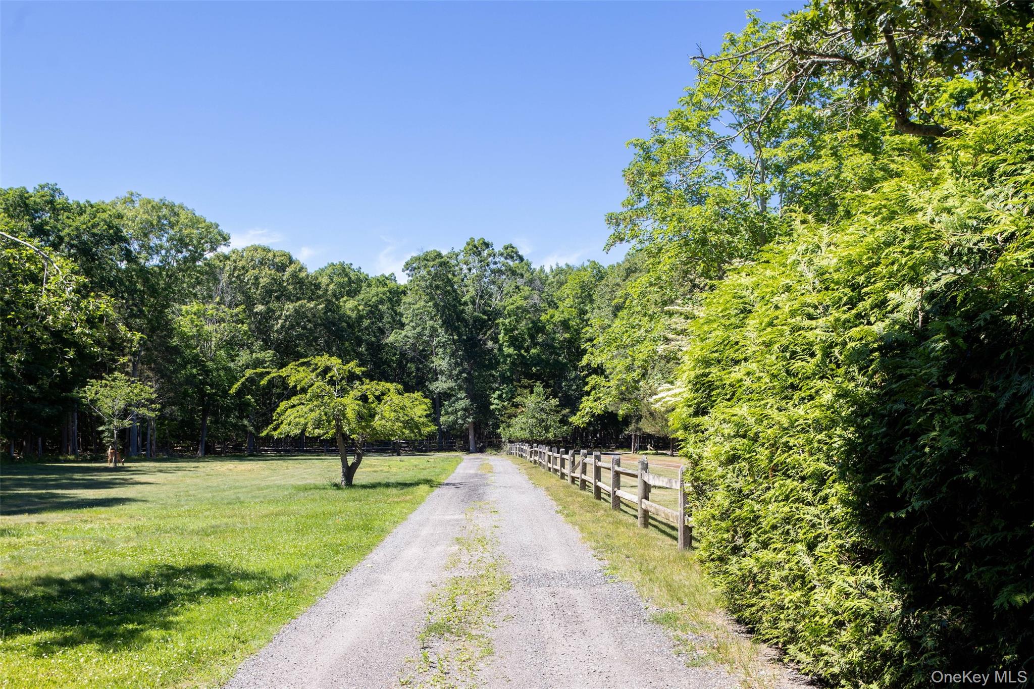 300 Terry Path Mattituck, NY 11952 - Photo 6 of 15