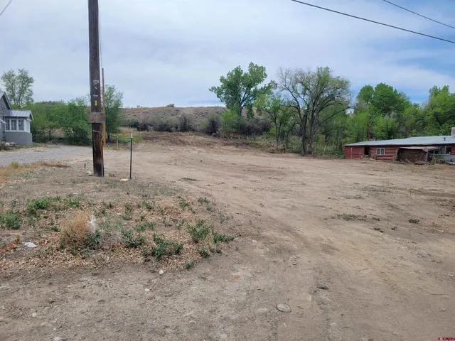 a view of a dry yard with wooden fence