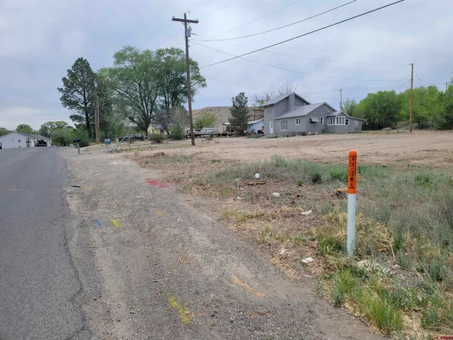 a view of a road with a dry trees