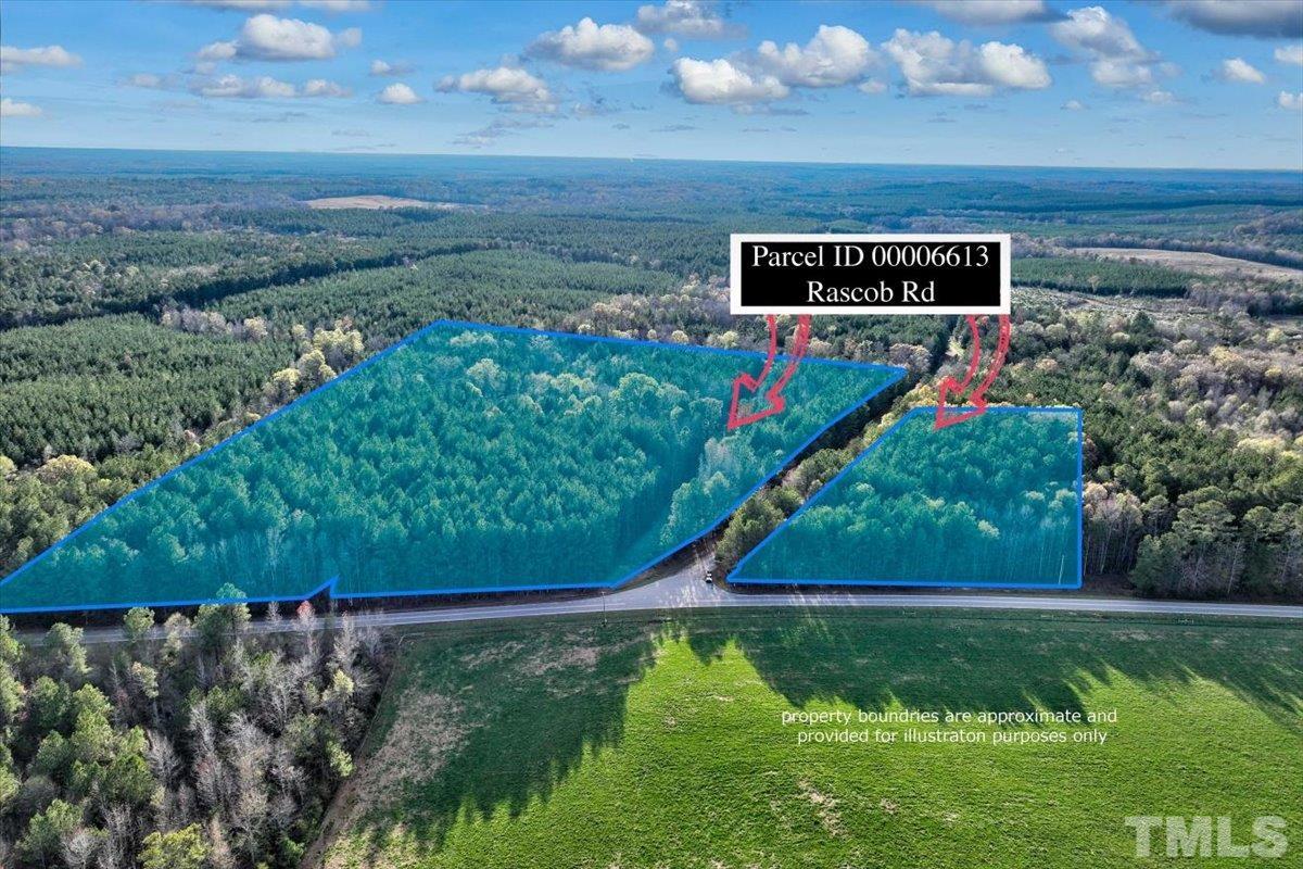 a view of a back yard