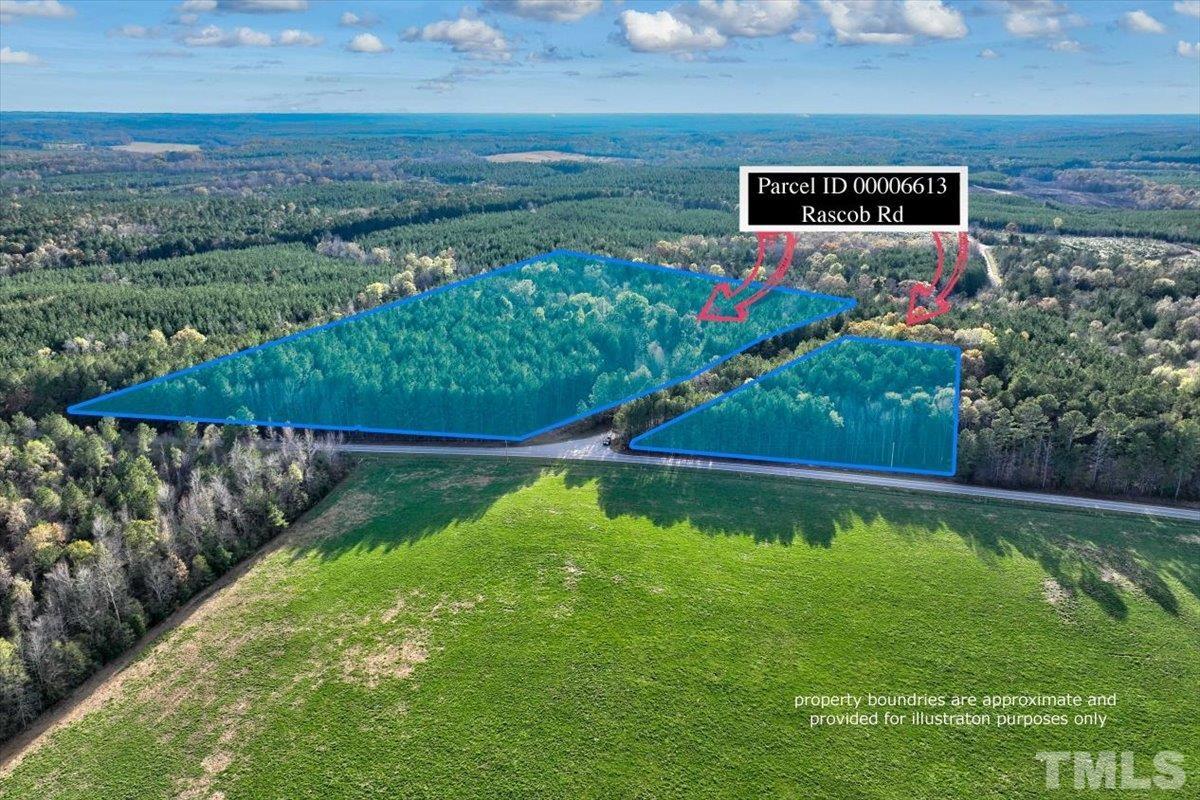 0 Rascob Road Sanford, NC 27330 - Photo 2 of 7 a view of a back yard