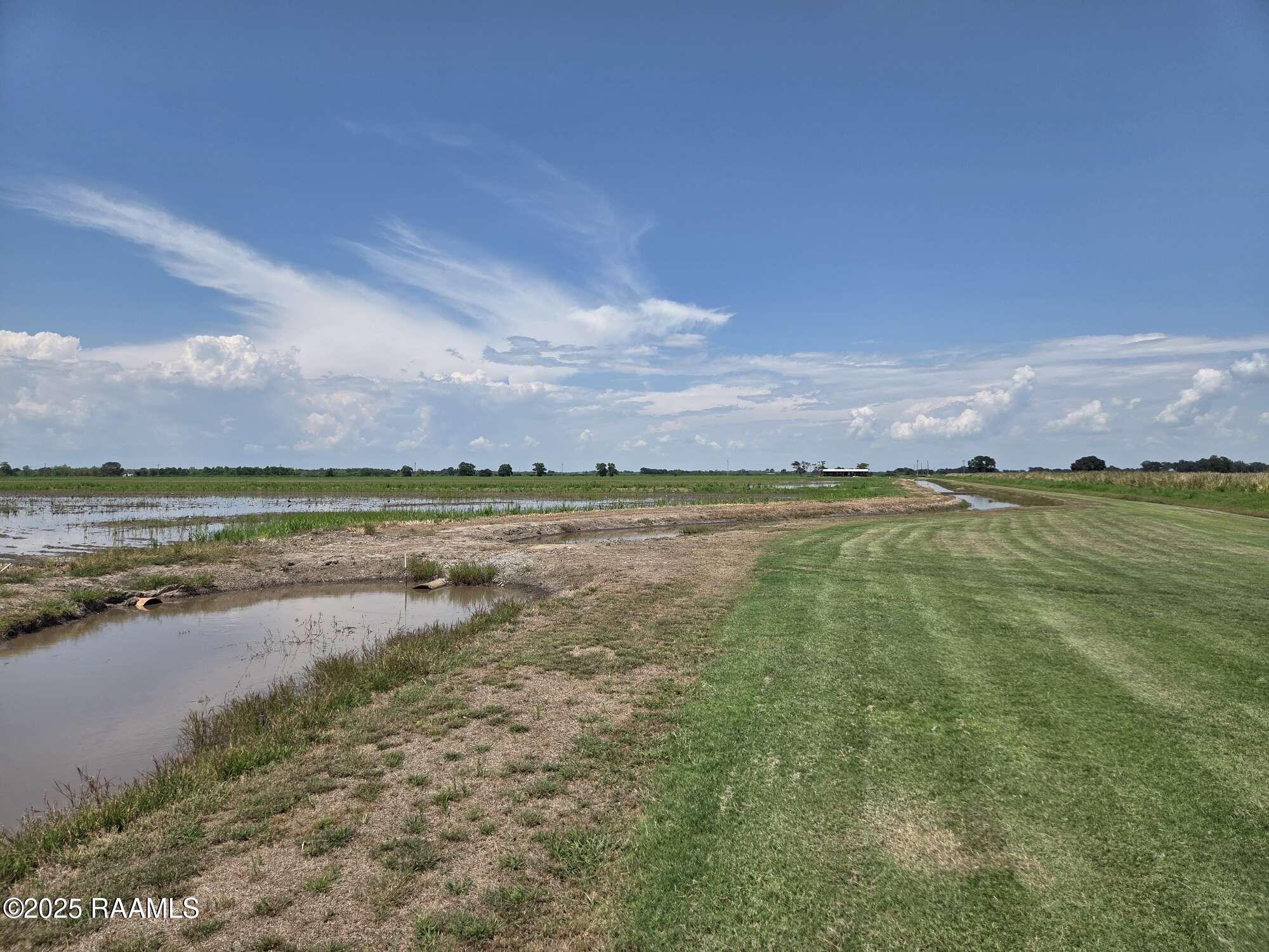 23823 Juniper Road Kaplan, LA 70548 - Photo 13 of 27 12