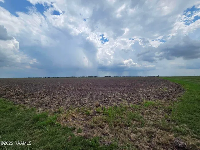 $1,550,000 | 23823 Juniper Road, Kaplan, LA 70548