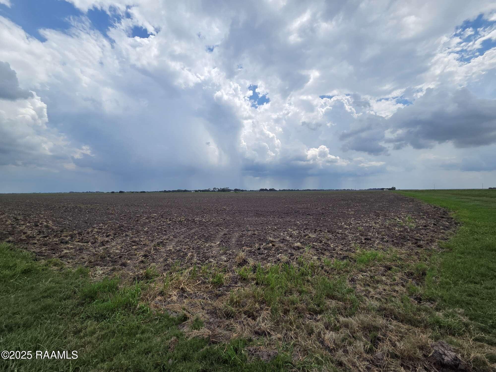 23823 Juniper Road Kaplan, LA 70548 - Photo 14 of 27 13