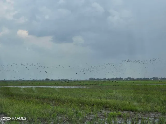 $1,550,000 | 23823 Juniper Road, Kaplan, LA 70548