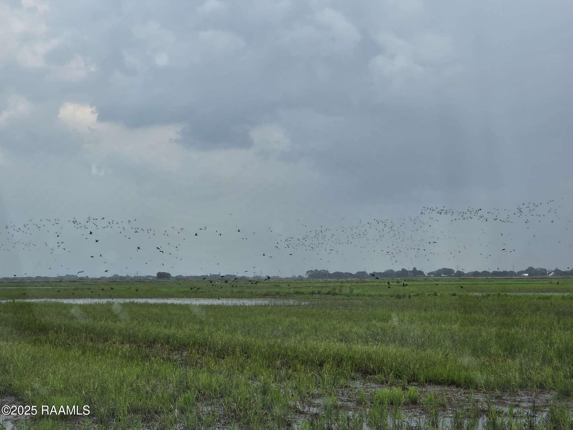 23823 Juniper Road Kaplan, LA 70548 - Photo 15 of 27 14