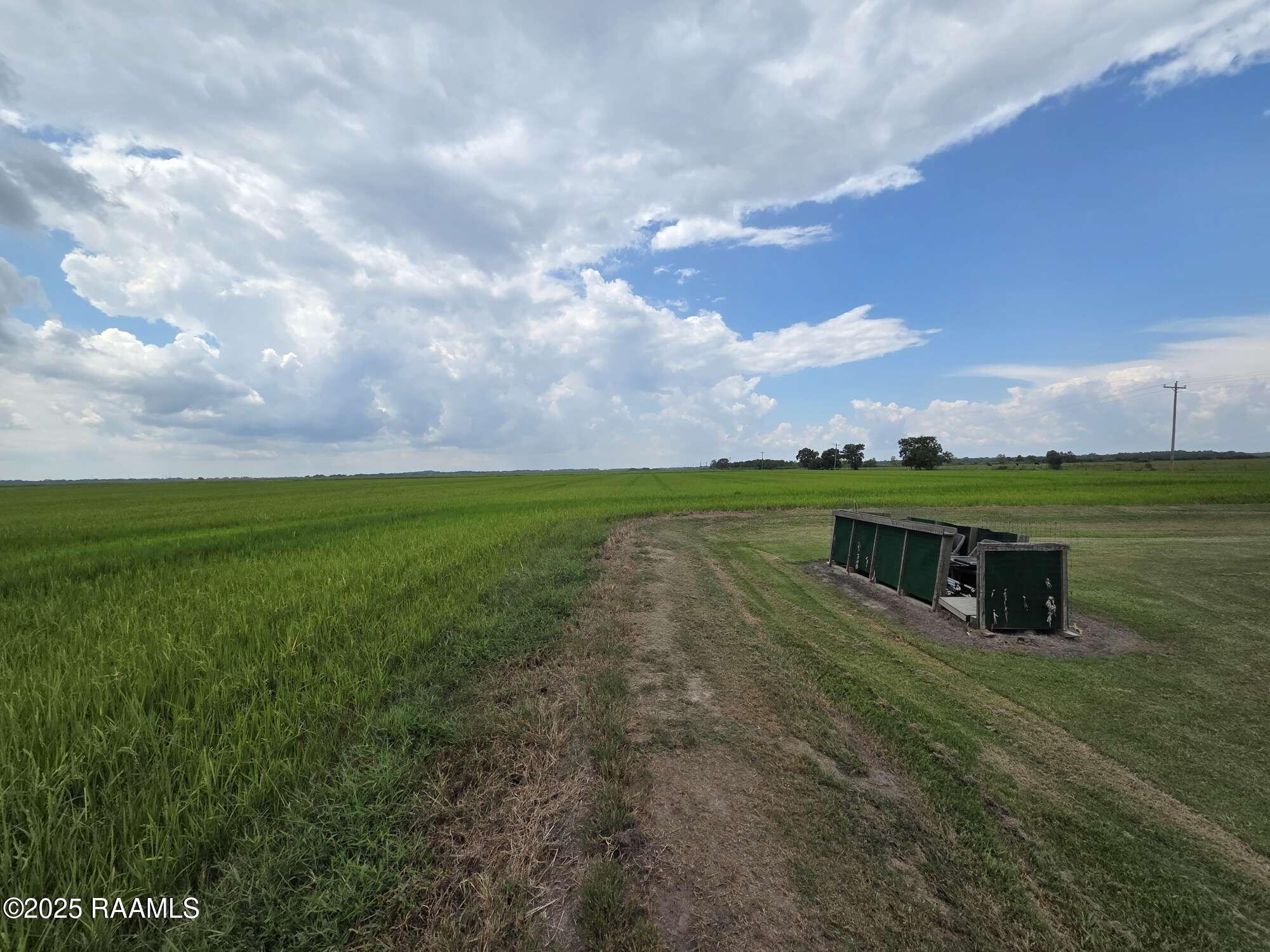 23823 Juniper Road Kaplan, LA 70548 - Photo 16 of 27 15
