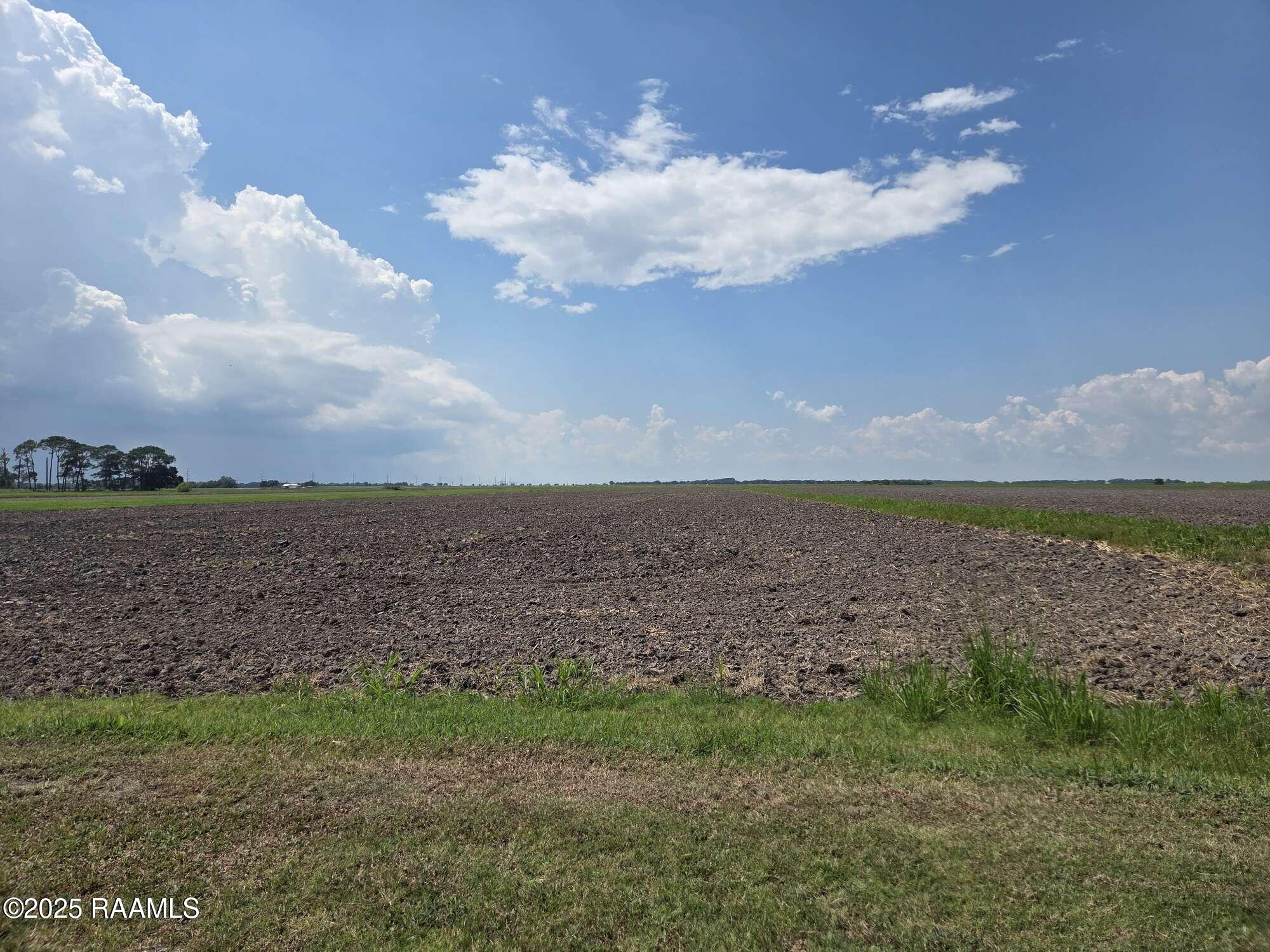 23823 Juniper Road Kaplan, LA 70548 - Photo 17 of 27 16