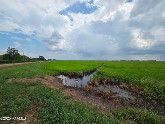 $1,550,000 | 23823 Juniper Road, Kaplan, LA 70548