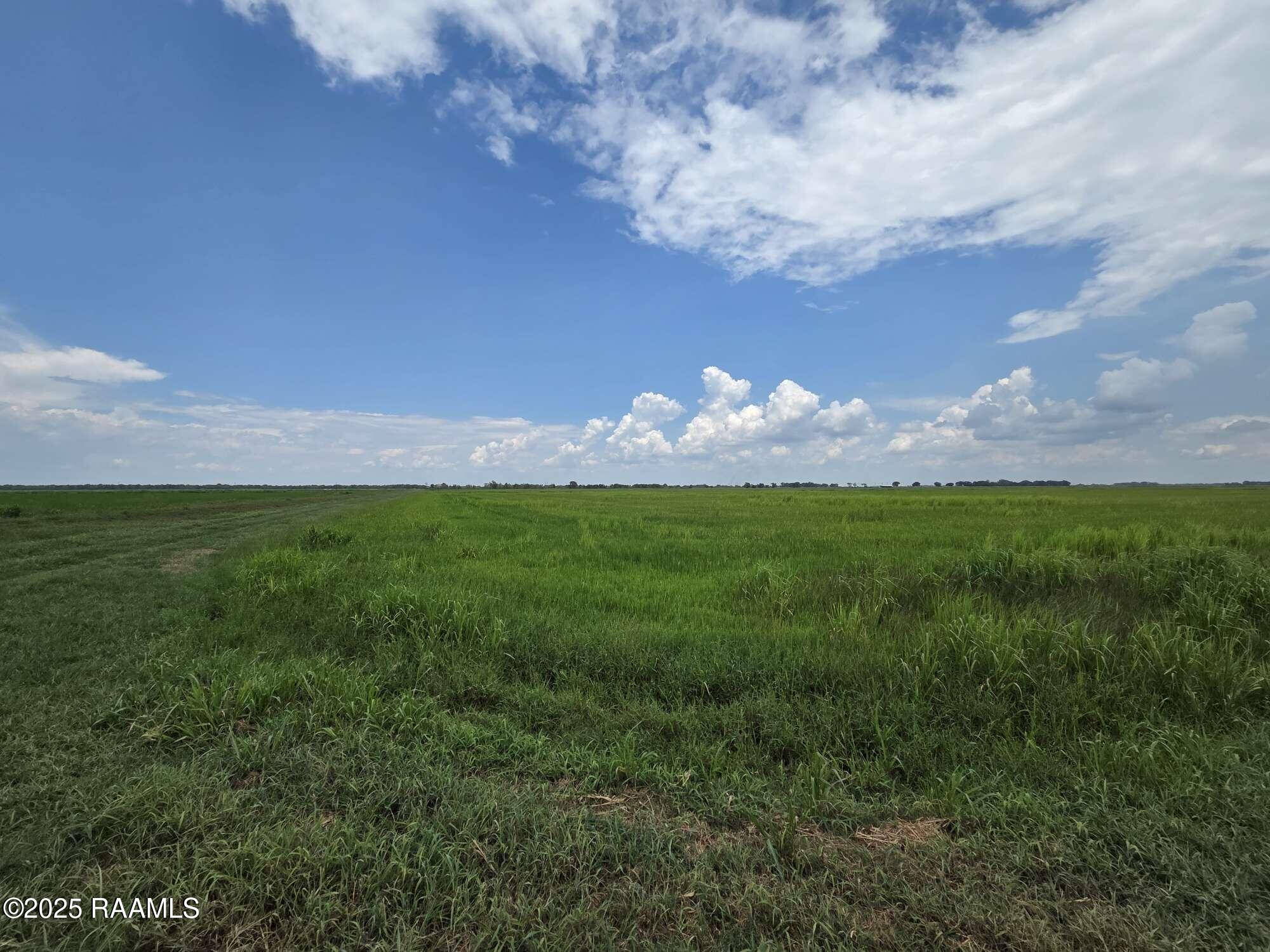 23823 Juniper Road Kaplan, LA 70548 - Photo 24 of 27 23