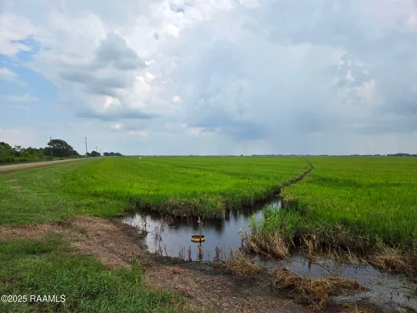 $1,550,000 | 23823 Juniper Road, Kaplan, LA 70548