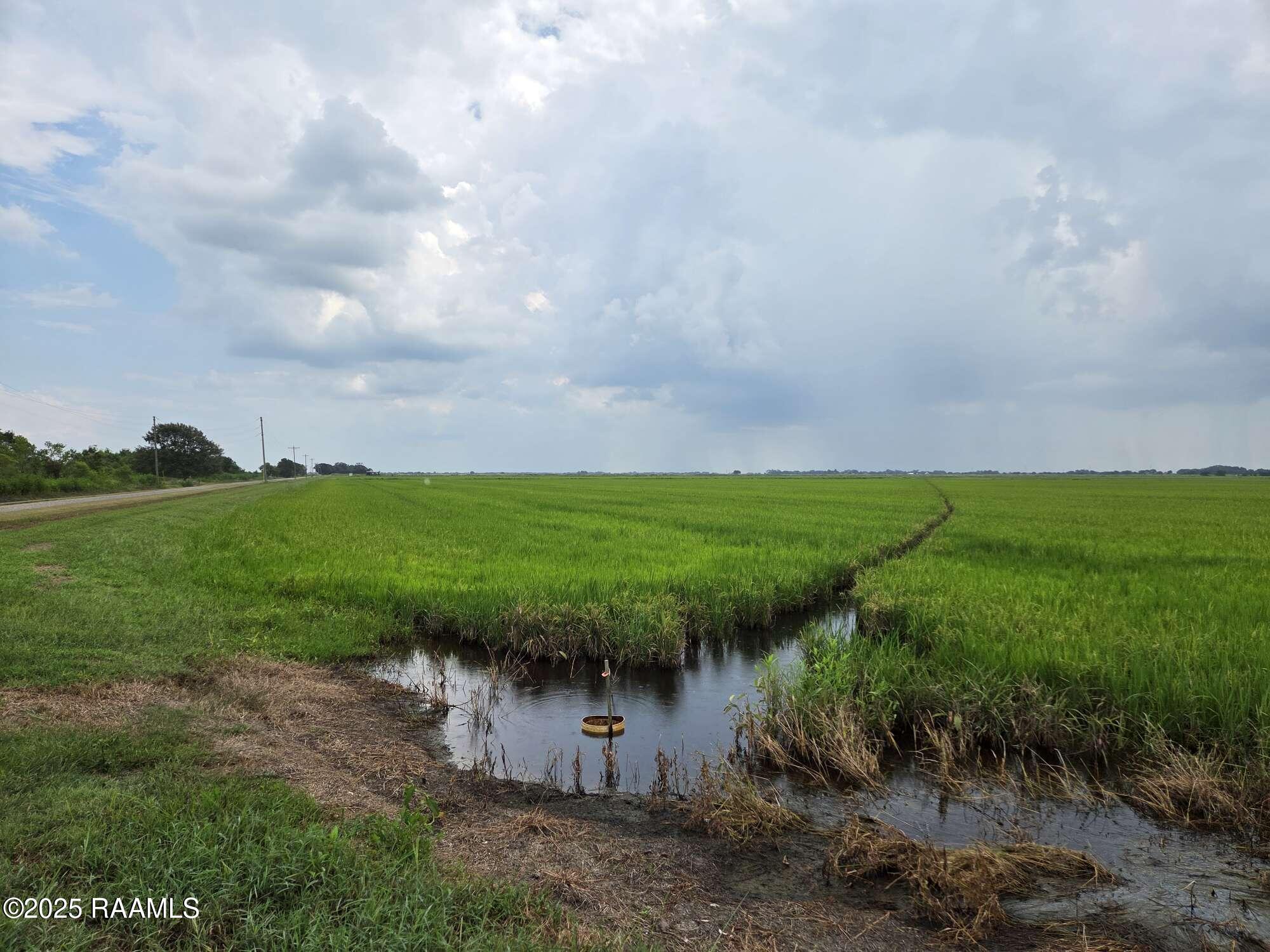 23823 Juniper Road Kaplan, LA 70548 - Photo 25 of 27 24