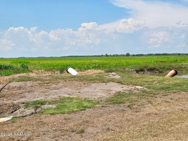 $1,550,000 | 23823 Juniper Road, Kaplan, LA 70548