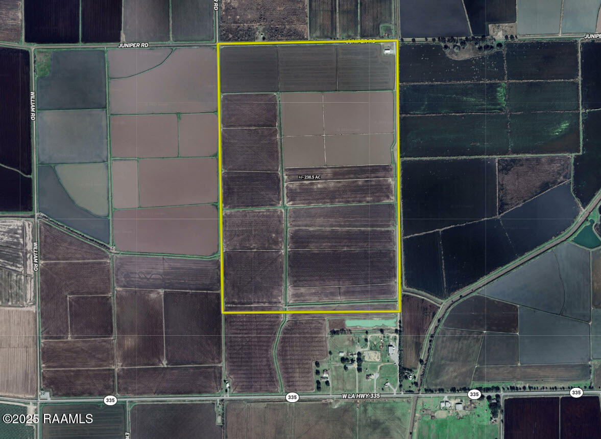 23823 Juniper Road Kaplan, LA 70548 - Photo 27 of 27 Airal Pic