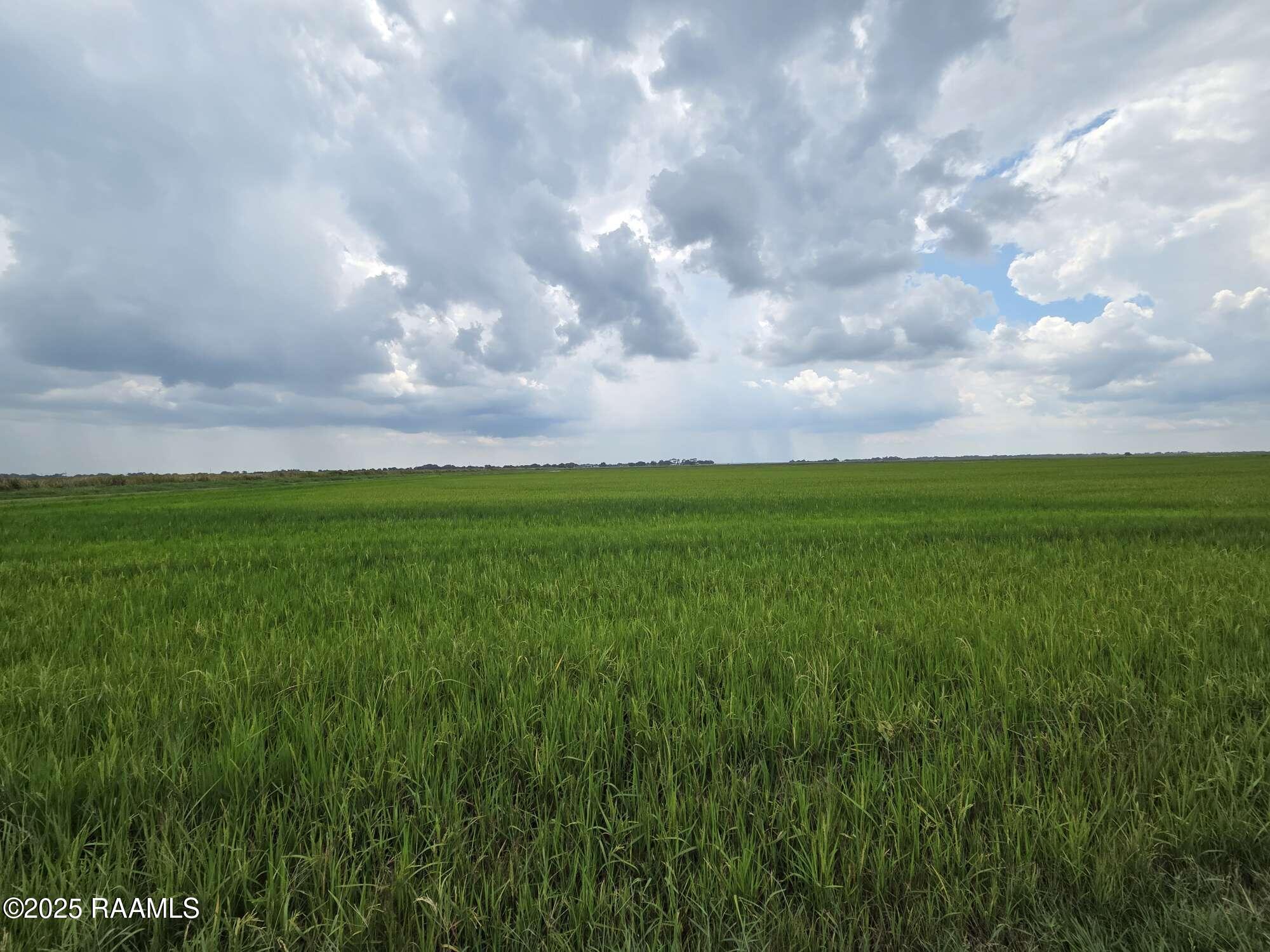 23823 Juniper Road Kaplan, LA 70548 - Photo 3 of 27 5