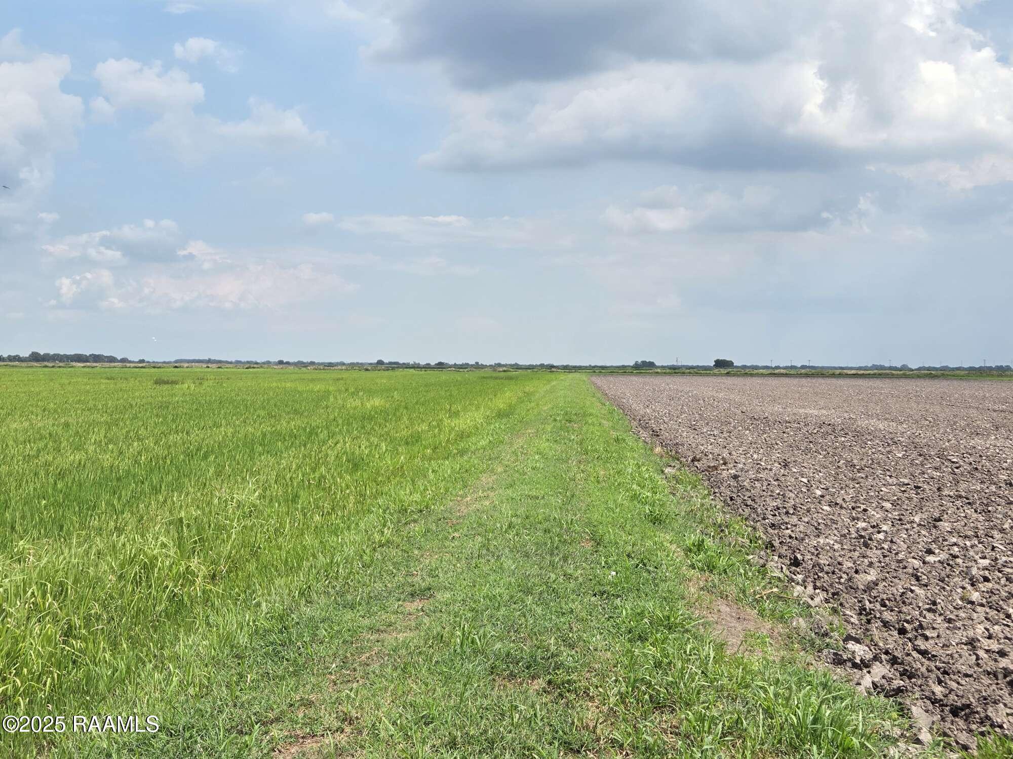 23823 Juniper Road Kaplan, LA 70548 - Photo 4 of 27 1