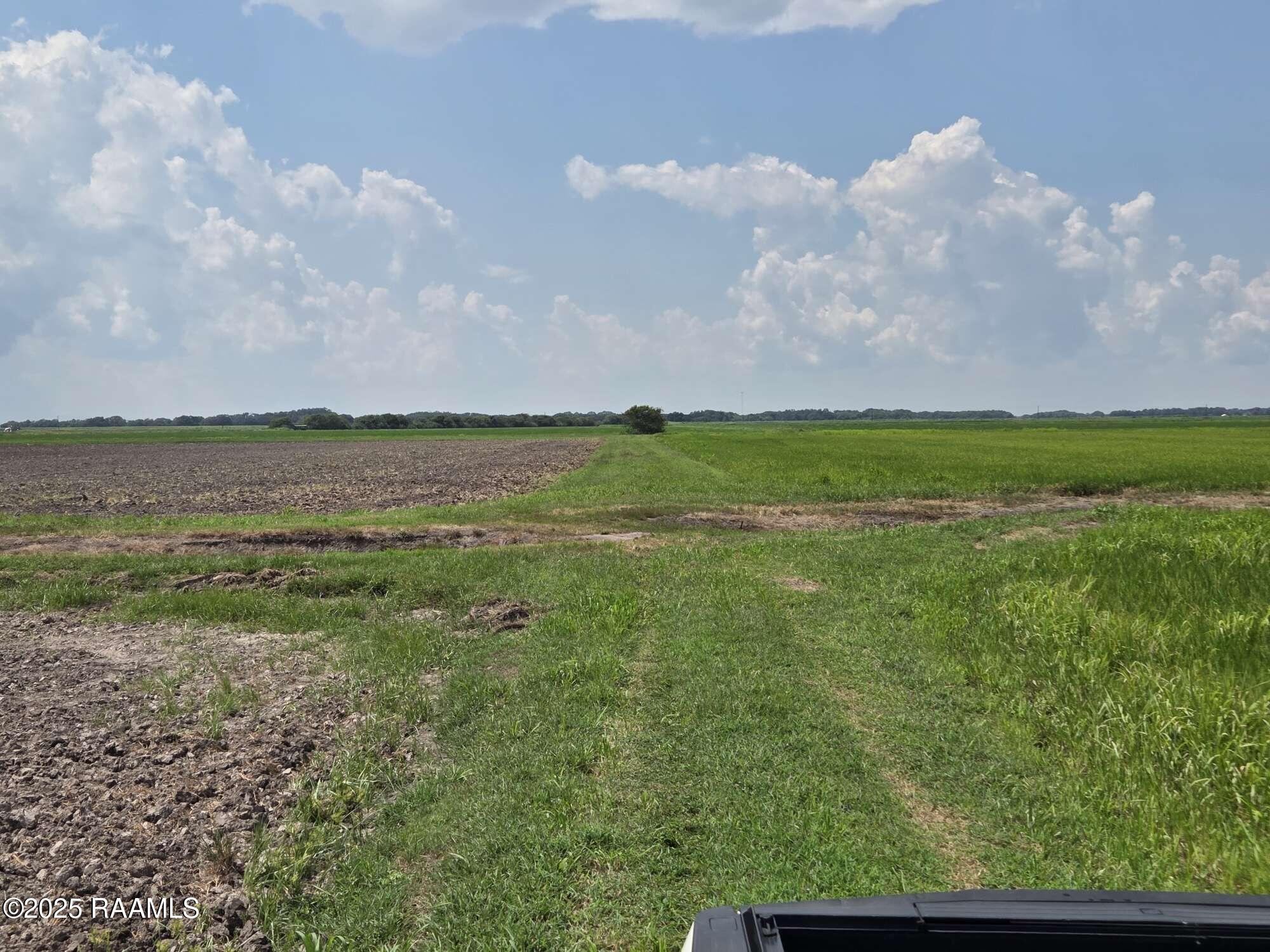 23823 Juniper Road Kaplan, LA 70548 - Photo 5 of 27 2