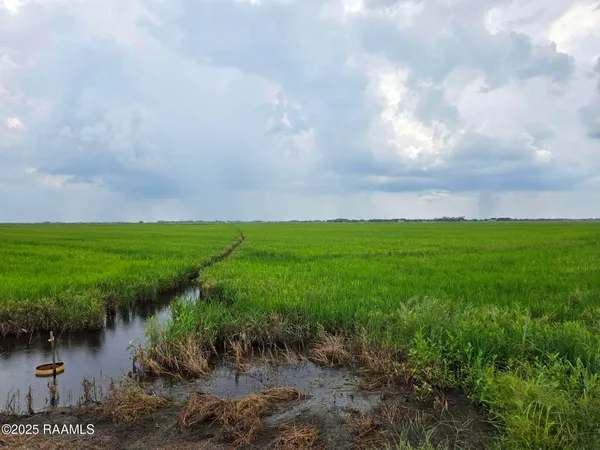 $1,550,000 | 23823 Juniper Road, Kaplan, LA 70548