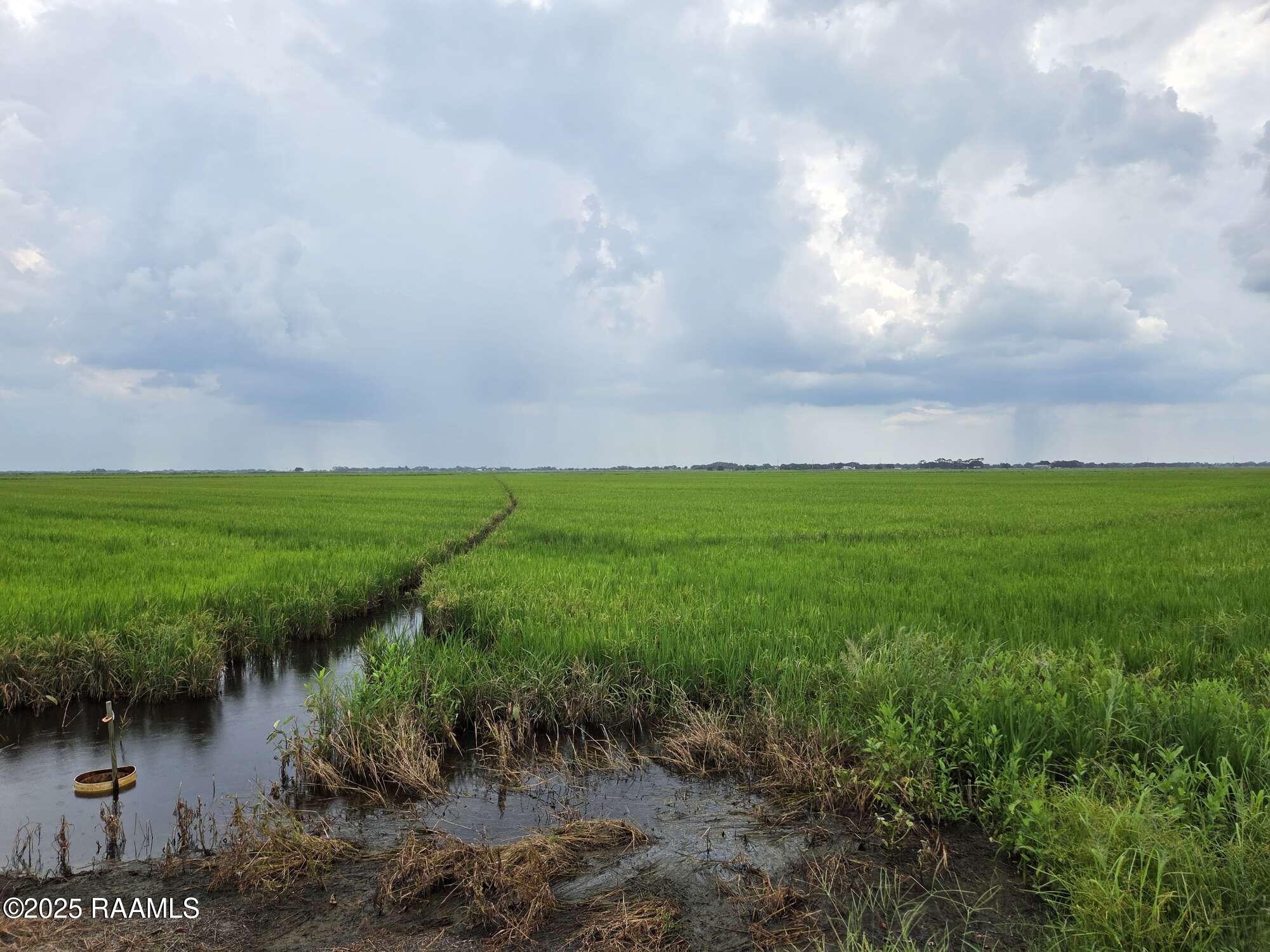 23823 Juniper Road Kaplan, LA 70548 - Photo 8 of 27 7