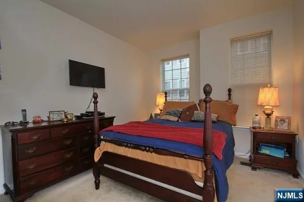 a bed room with a bed and a television