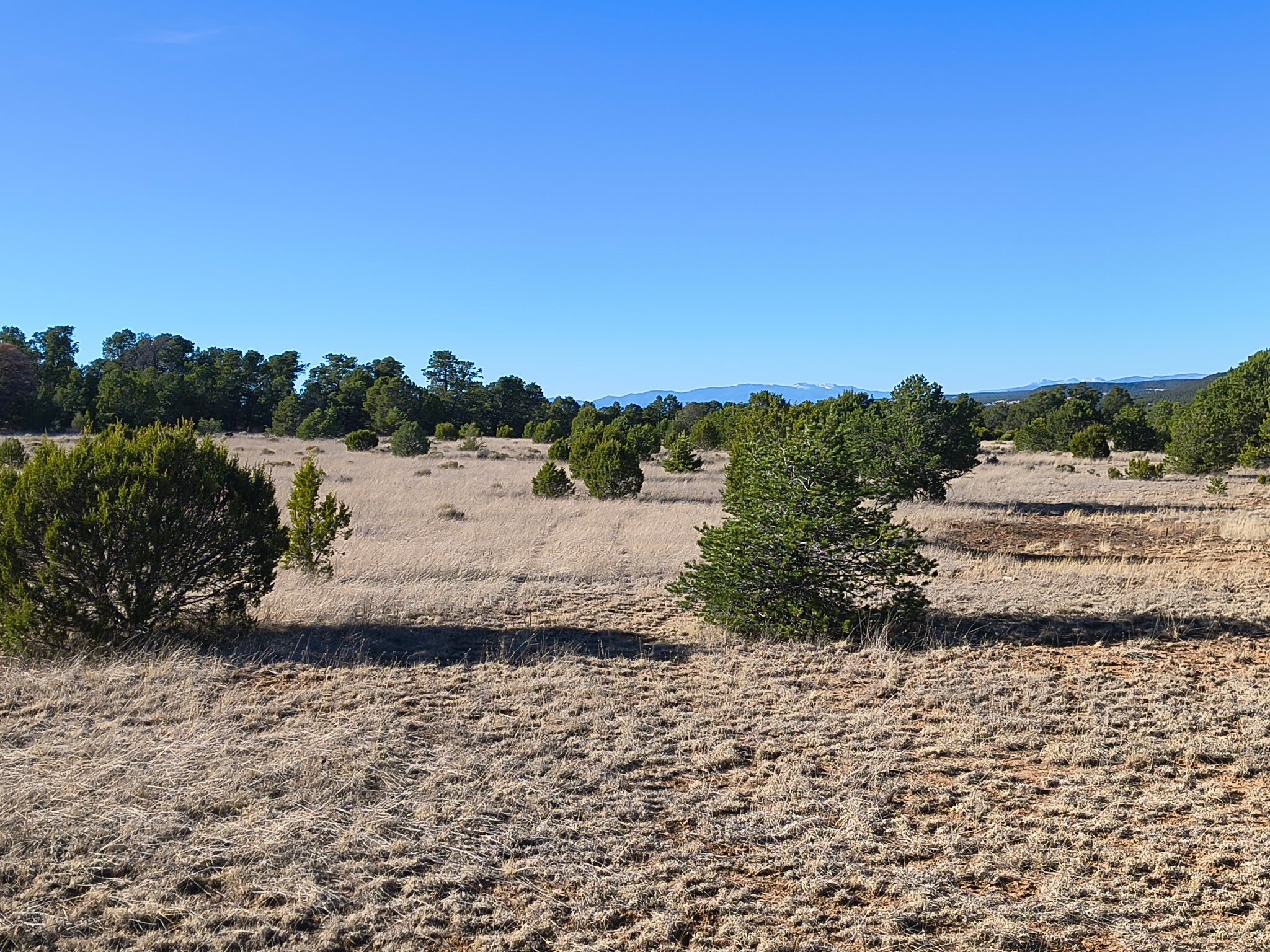 174 Tierra Del Dios Road Ribera, NM 87560 - Photo 1 of 4