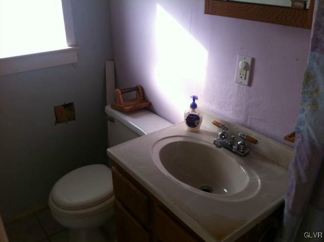 508 Westbrook Road Effort, PA 18330 - Photo 28 of 49 a bathroom with a sink toilet and mirror