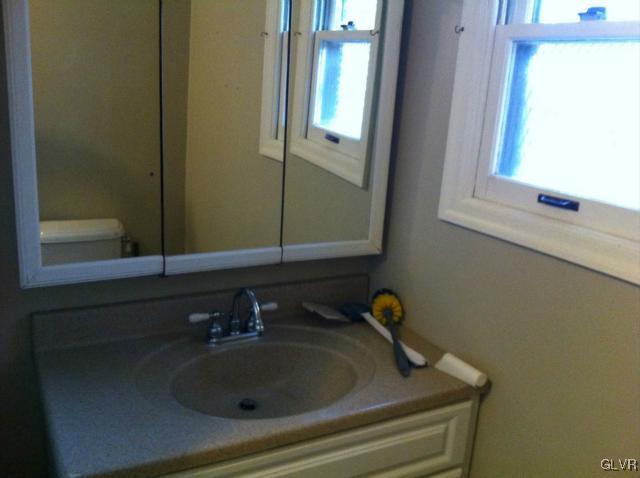 508 Westbrook Road Effort, PA 18330 - Photo 31 of 49 a bathroom with a sink and a mirror