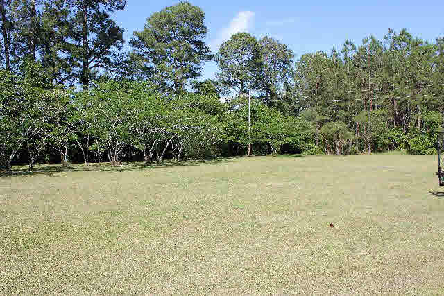 12836 Anna's Way Stapleton, AL 36578 - Photo 32 of 43 Out Back